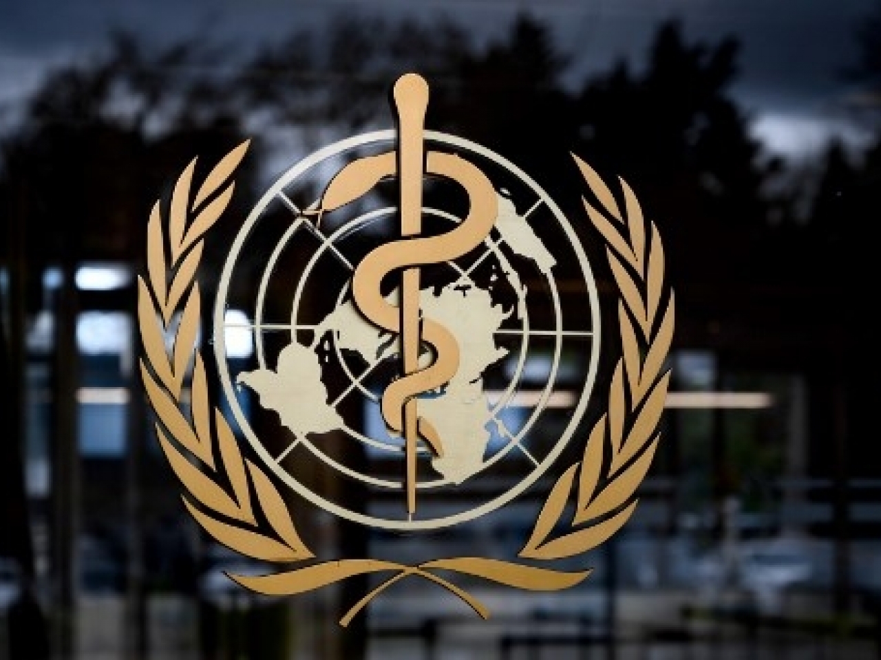 mfile_1513898_1_L_20200312004058